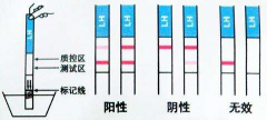 验孕棒测试显示一深一浅是怀孕吗?